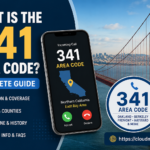 341 Area Code