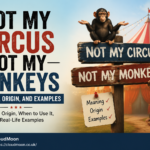 Not My Circus Not My Monkeys