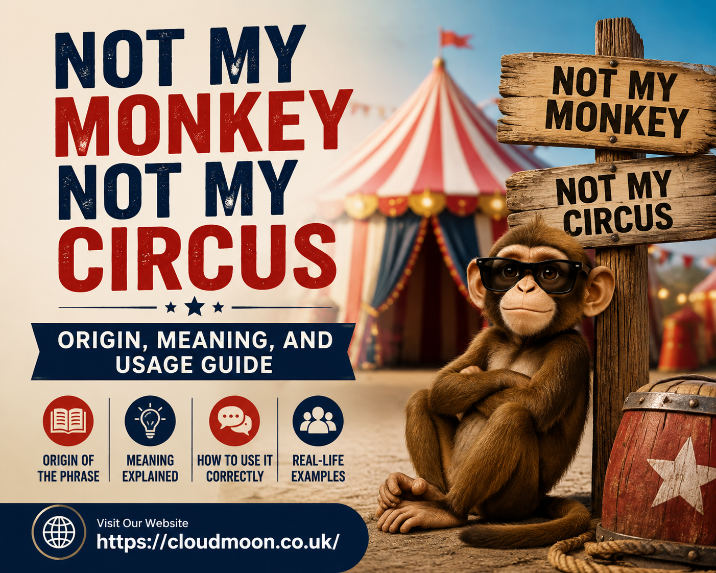 Not My Monkey Not My Circus